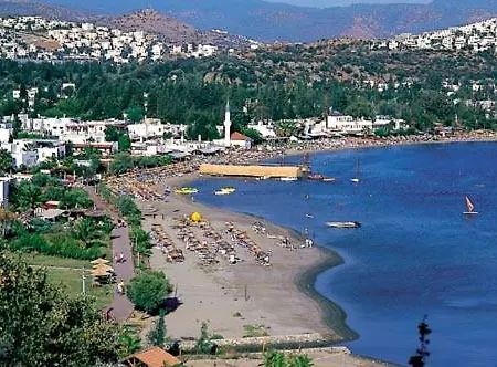 Wooden Towns ביטז