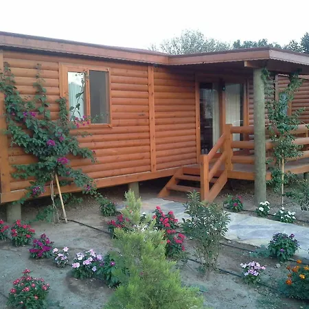 Wooden Towns *